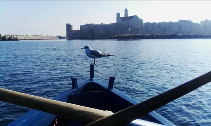 Il Da Vinci Casa Vacanze Giovinazzo Eksteriør bilde